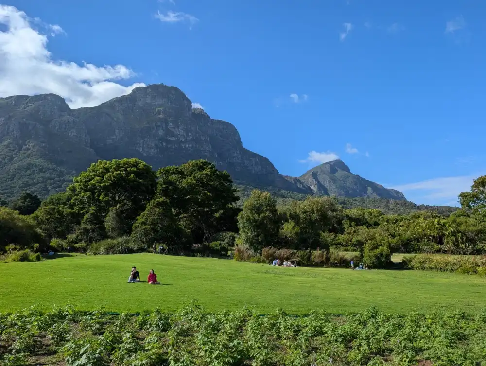 /cape-town/kirstenbosch5.JPG