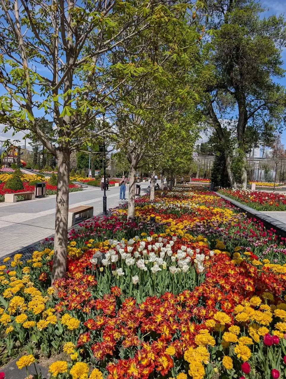 /dushanbe/ahmad-donish-park2.JPG