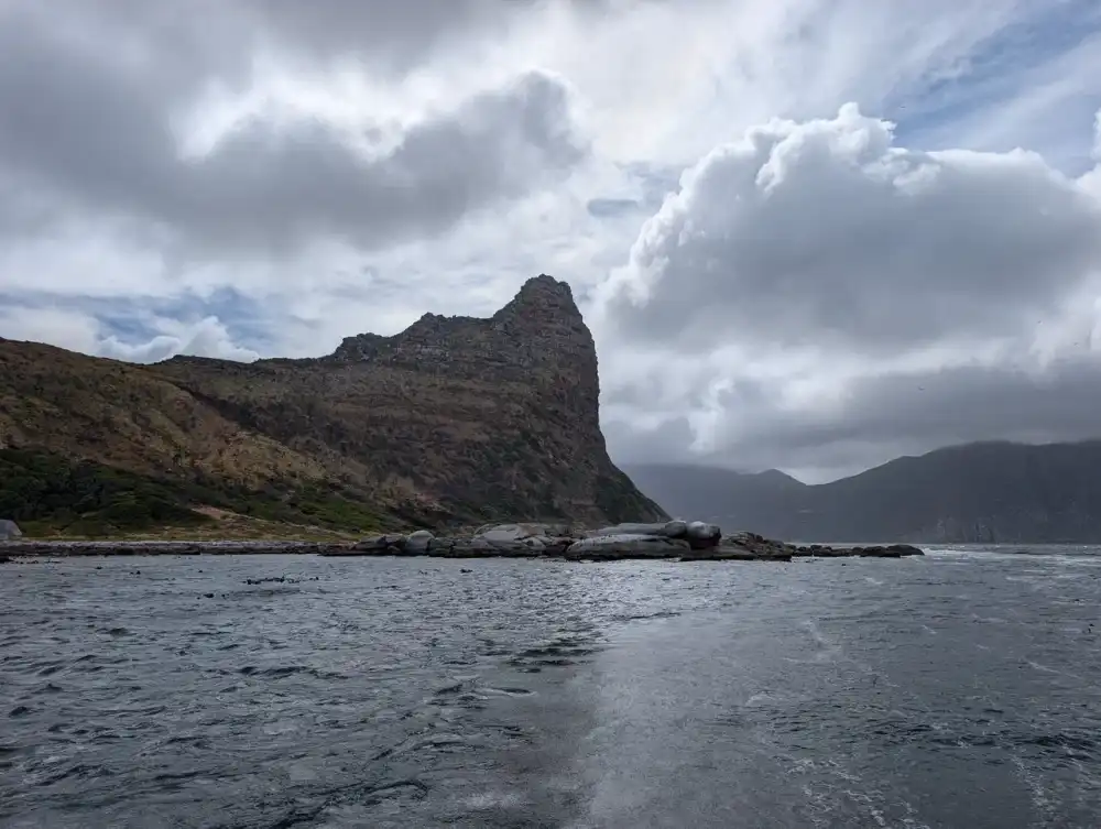 /cape-town/seals-island2.JPG