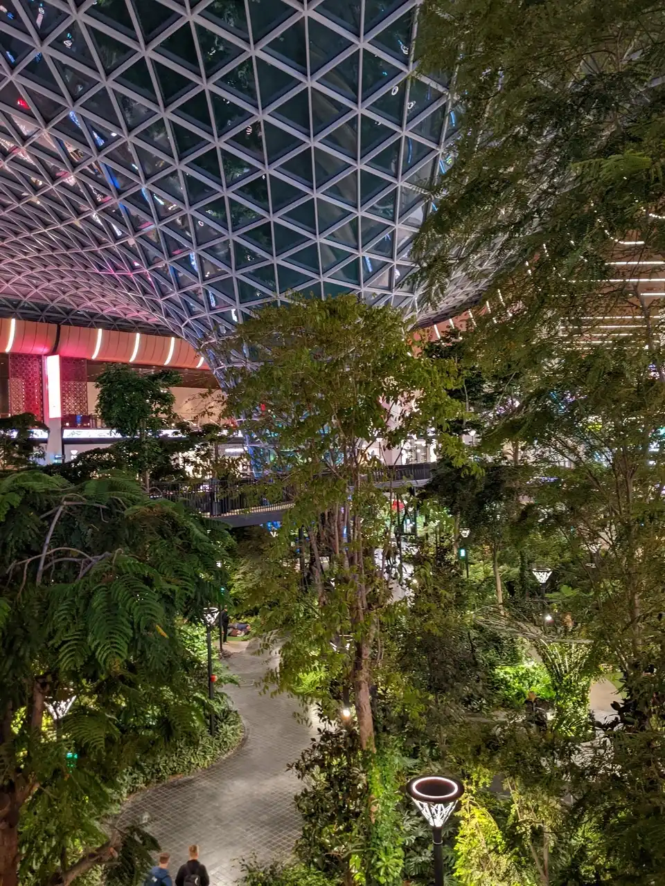 /doha/orchard3.JPG