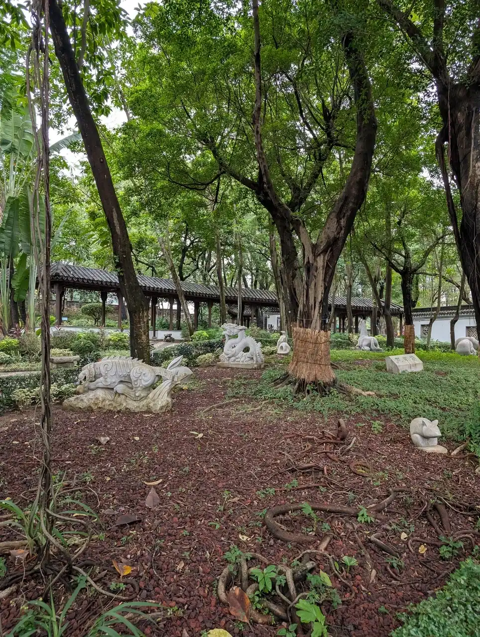 /hong-kong/kowloon-city-park3.JPG