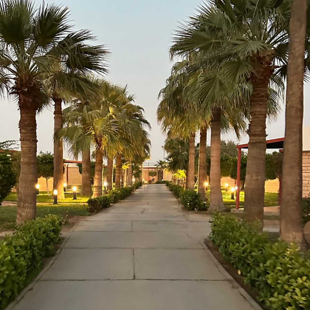 /jeddah/red-sea-resort2.jpg