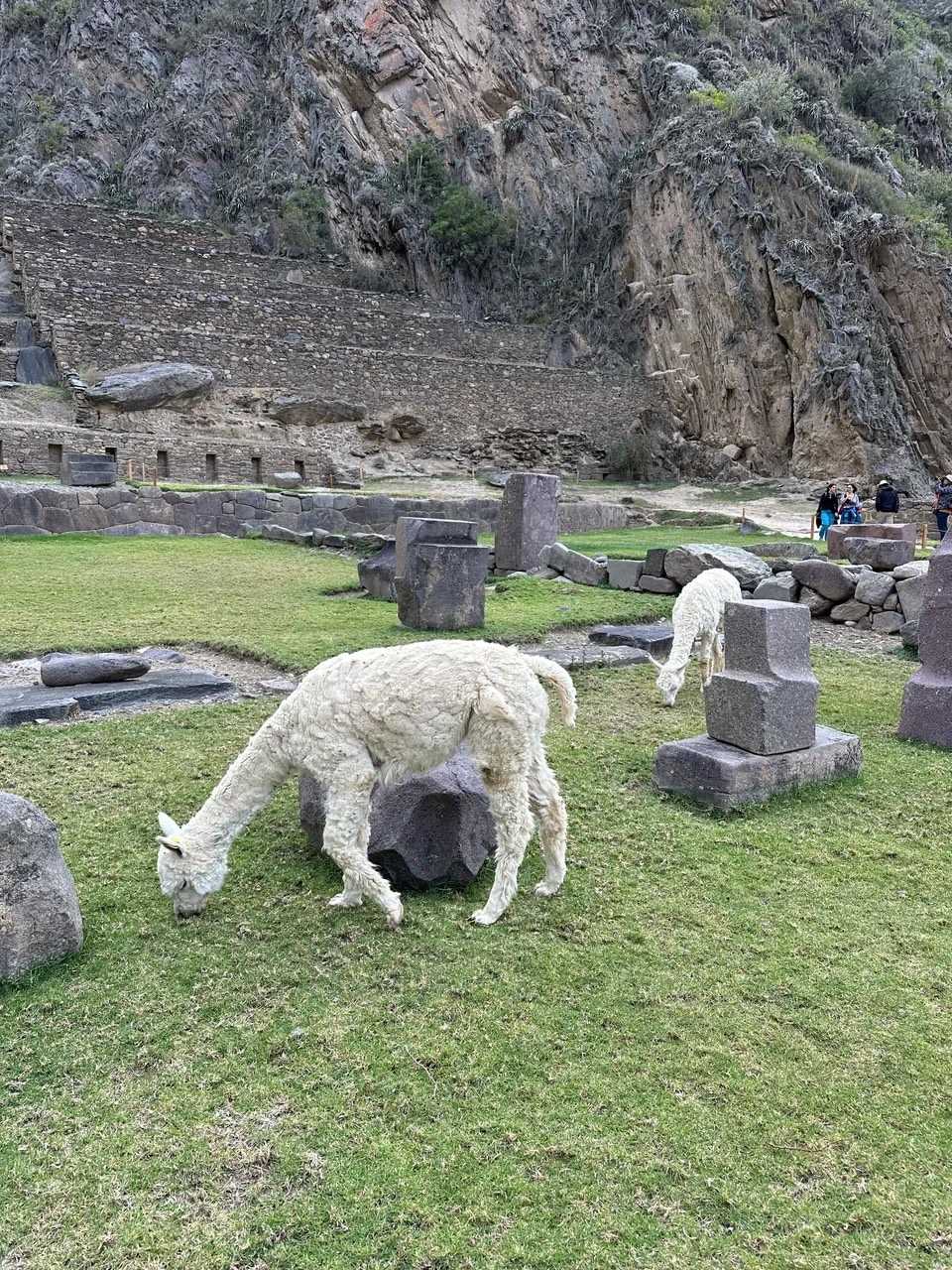 /cusco/ollantaytambo4.jpeg