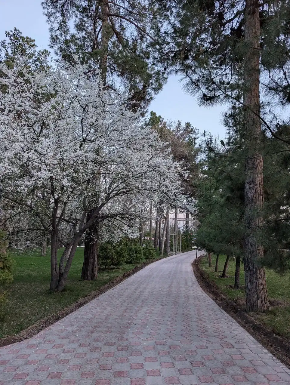 /dushanbe/park-ayni6.JPG