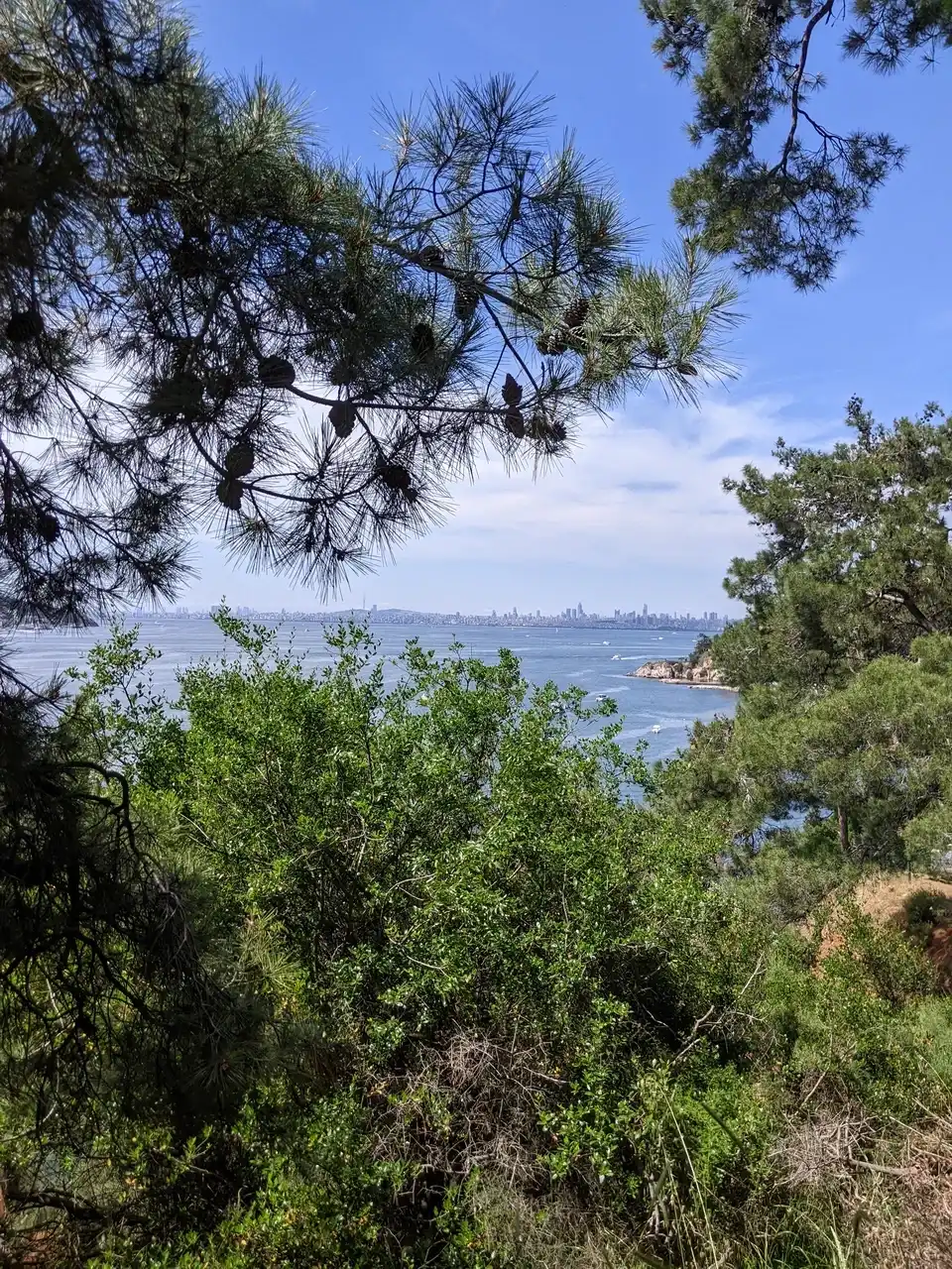 /istanbul/adalar7.jpg