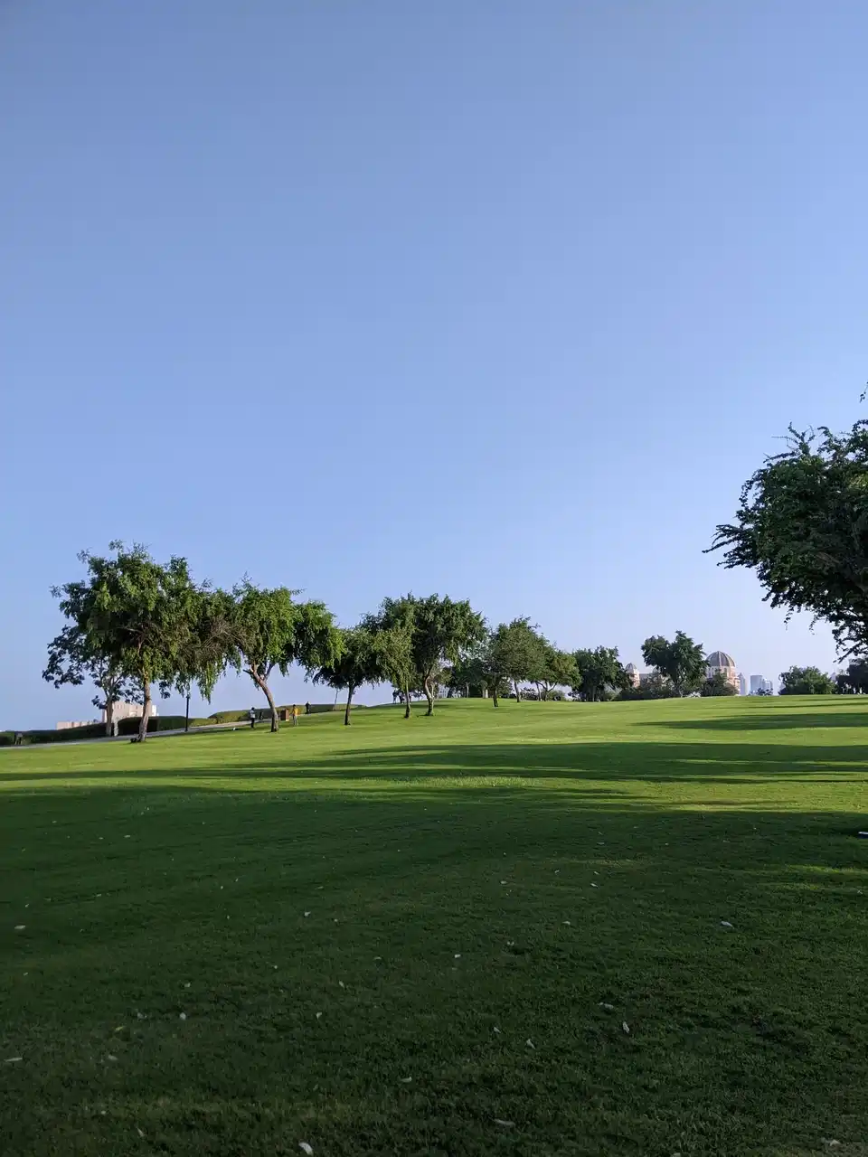 /doha/north-green-hill4.JPG