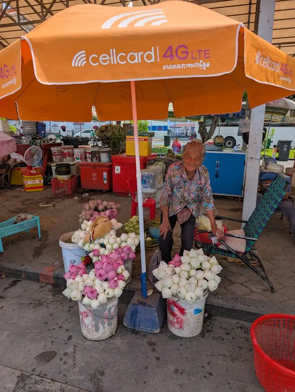 /phnom-penh/embankment4.jpg