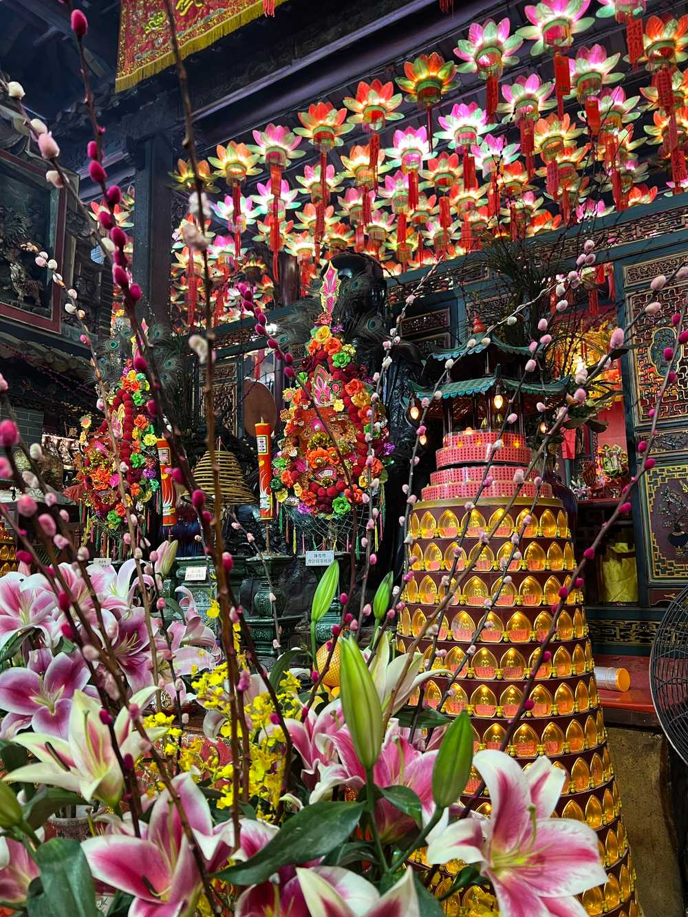/hong-kong-guide-from-local/hongkong1.jpg
