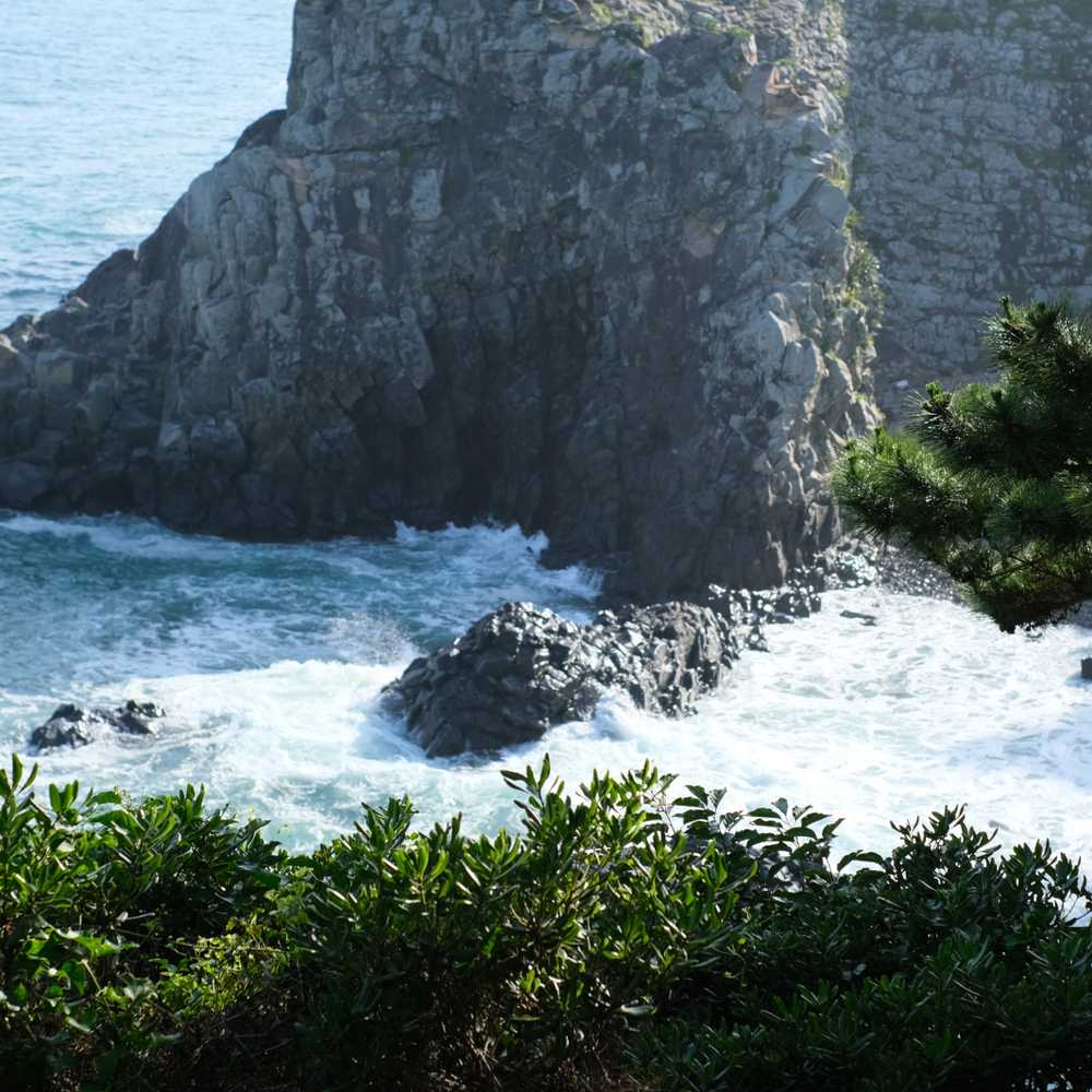 Author image Guide de voyage de l'île de Jeju, Corée du Sud