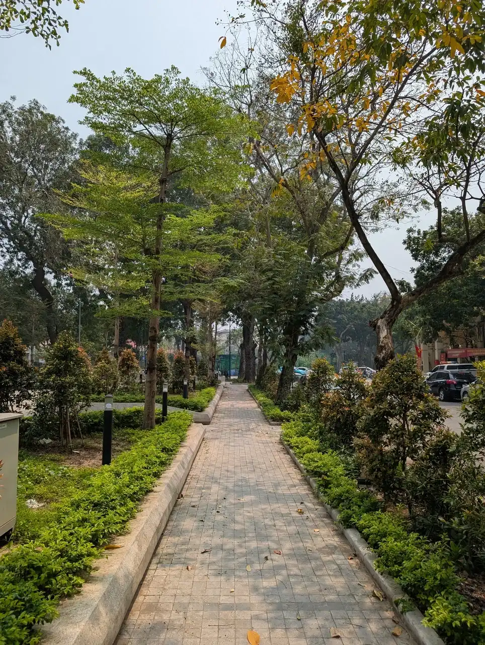 /hanoi/hanoi3.jpg