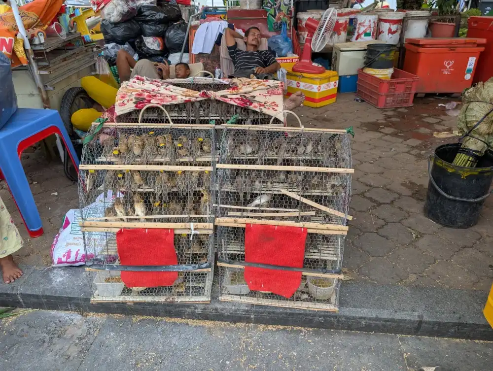 /phnom-penh/embankment3.jpg