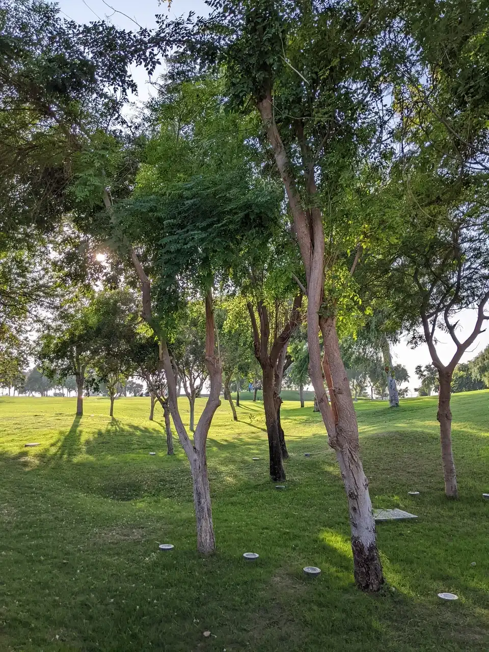 /doha/north-green-hill2.JPG