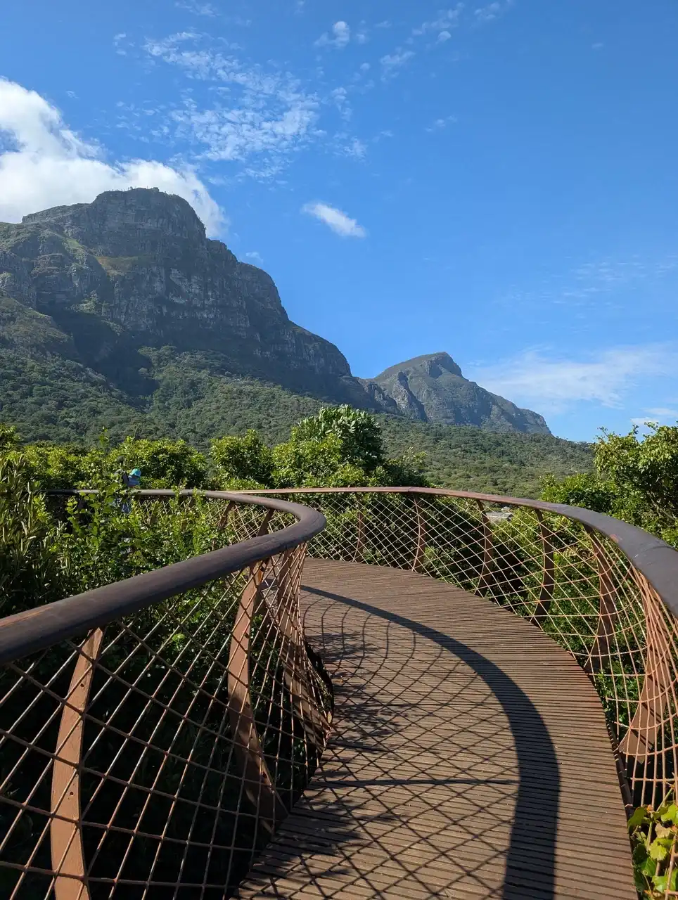 /cape-town/kirstenbosch4.JPG