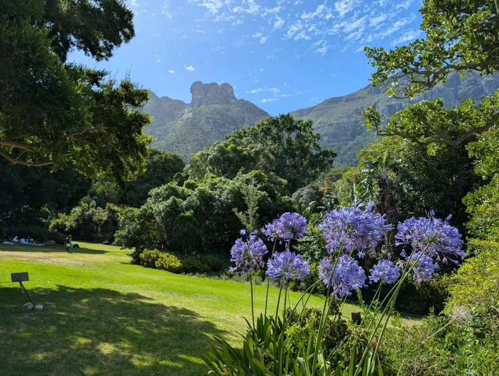 /cape-town/kirstenbosch2.JPG