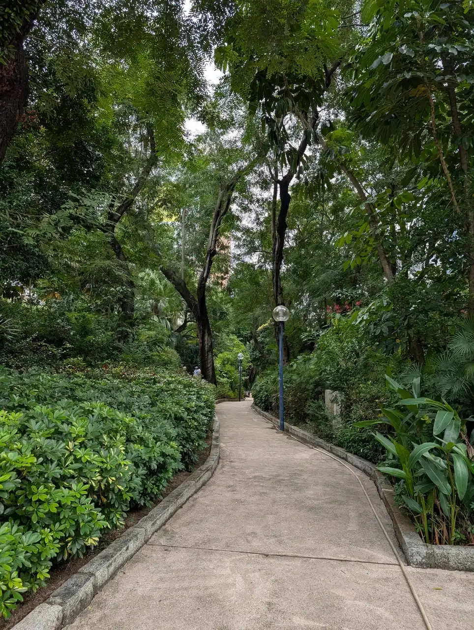 /hong-kong/kowloon-park2.JPG