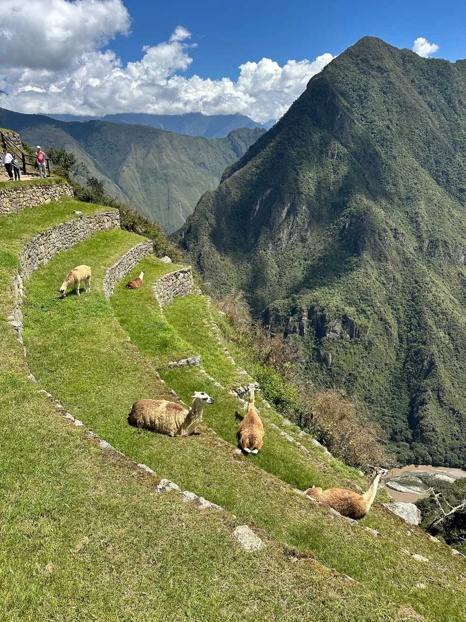 /cusco/machu-picchu6.jpeg