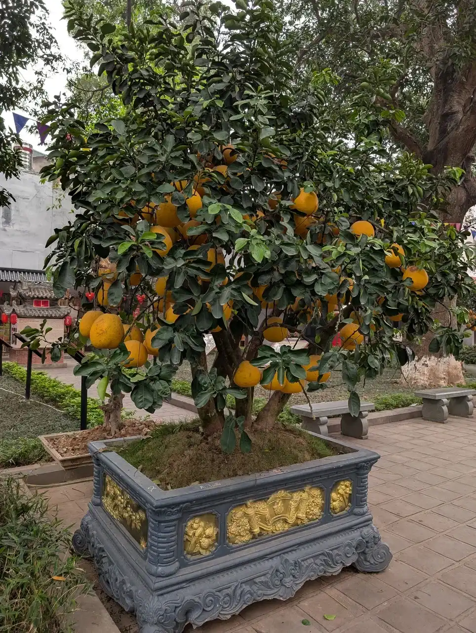 /hanoi/quan-thanh-temple3.jpg