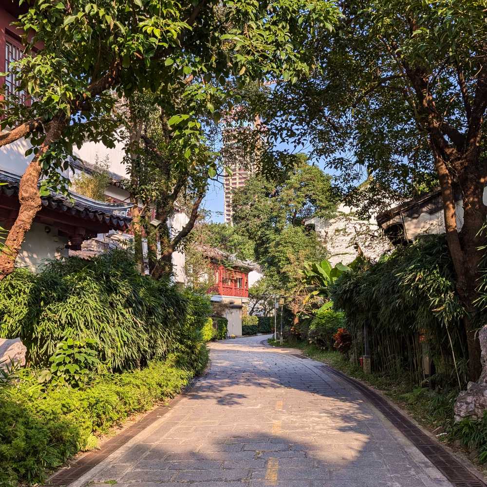/shenzhen/shenzhen3.jpg