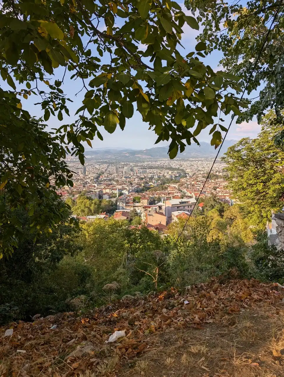 /bursa/bursa3.jpg