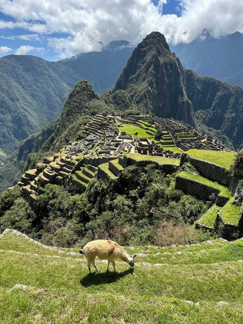 /cusco/machu-picchu4.jpeg