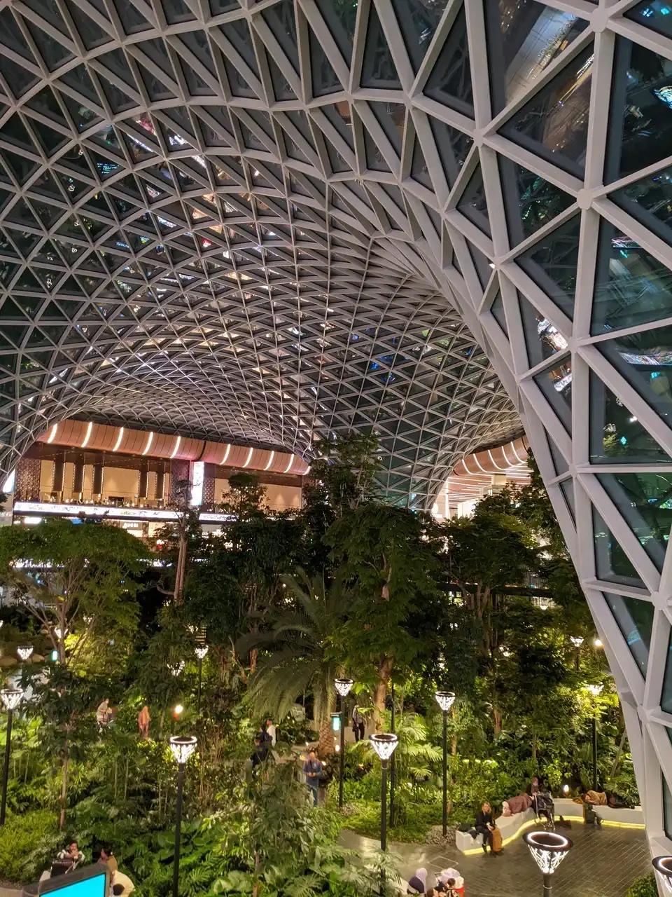 /doha/orchard2.JPG